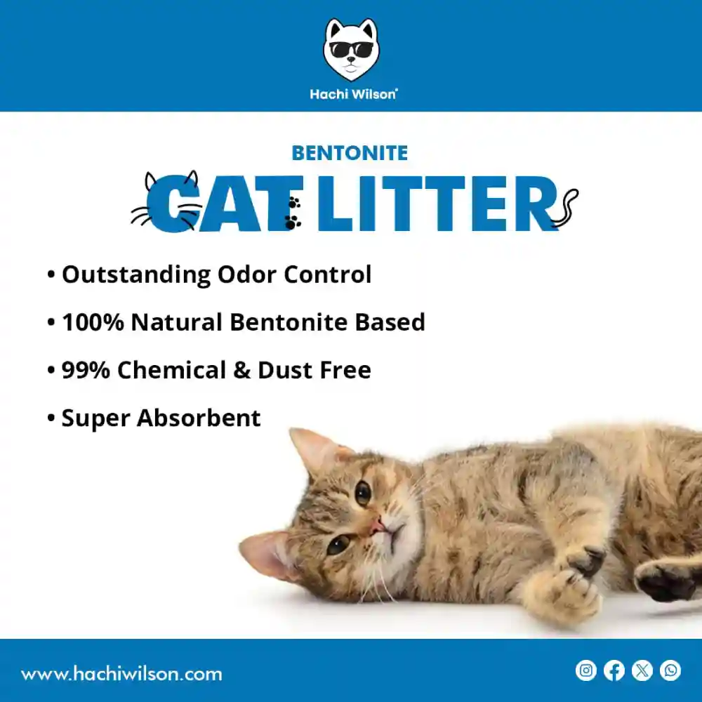 Hachi Wilson Scented Natural Bentonite White Sand Cat Litter - Image 6