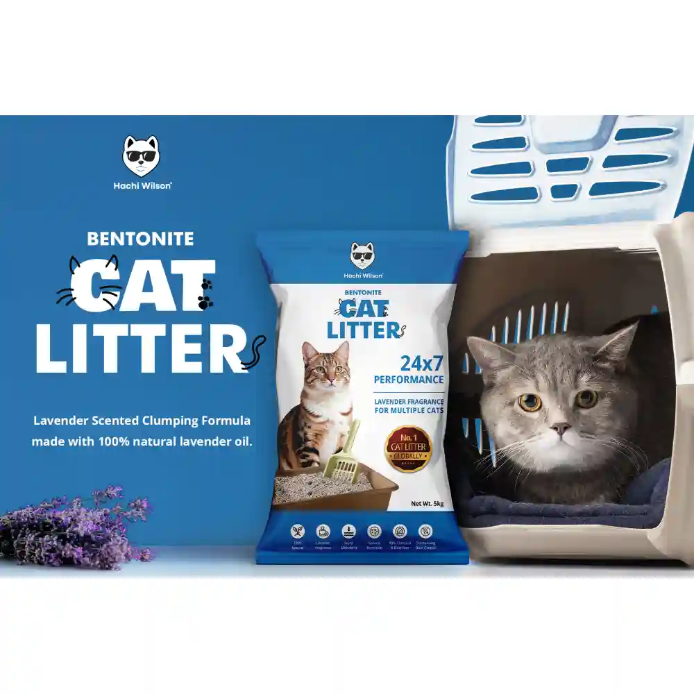 Hachi Wilson Scented Natural Bentonite White Sand Cat Litter - Image 8