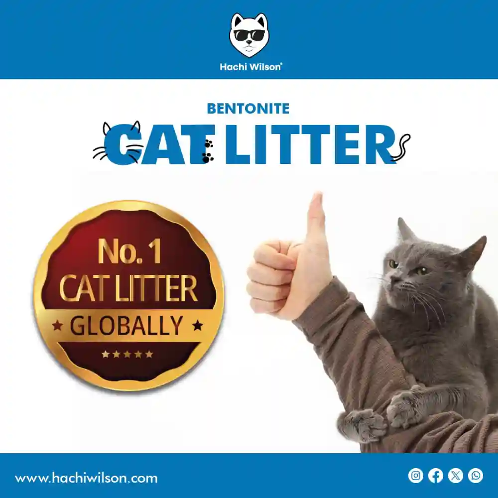 Hachi Wilson Scented Natural Bentonite White Sand Cat Litter - Image 9
