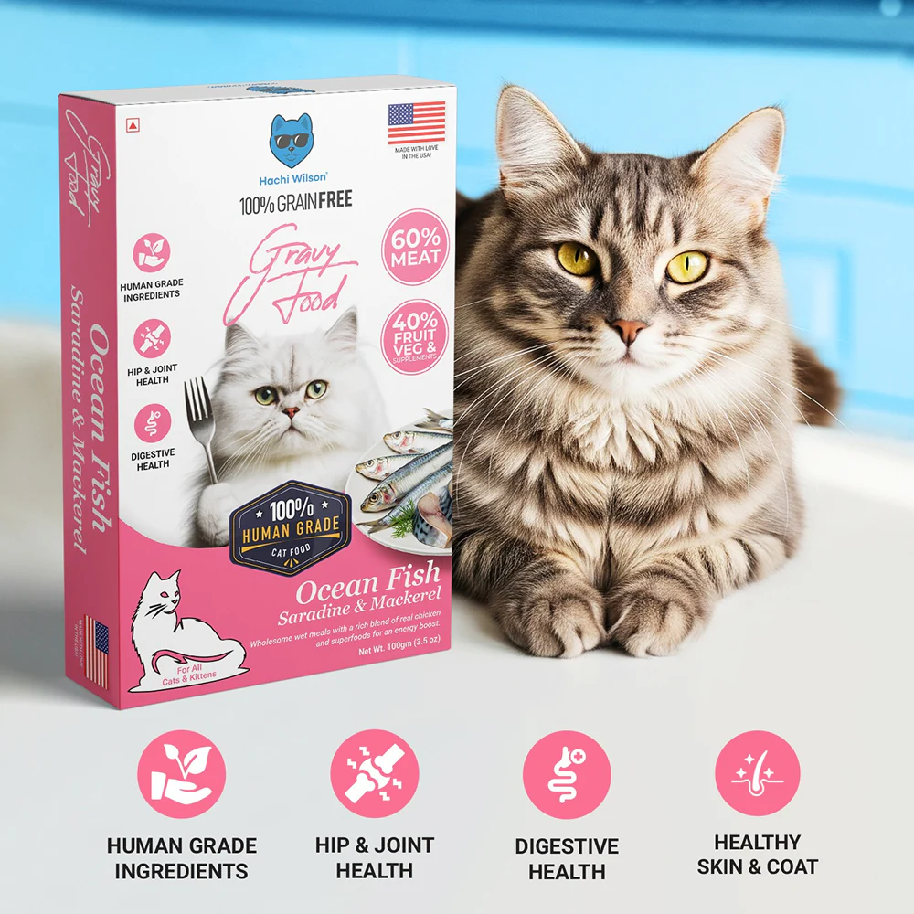 Hachi Wilson Premium Ocean Fish Sardine and Mackerel Gravy Cat Wet Food - Image 3