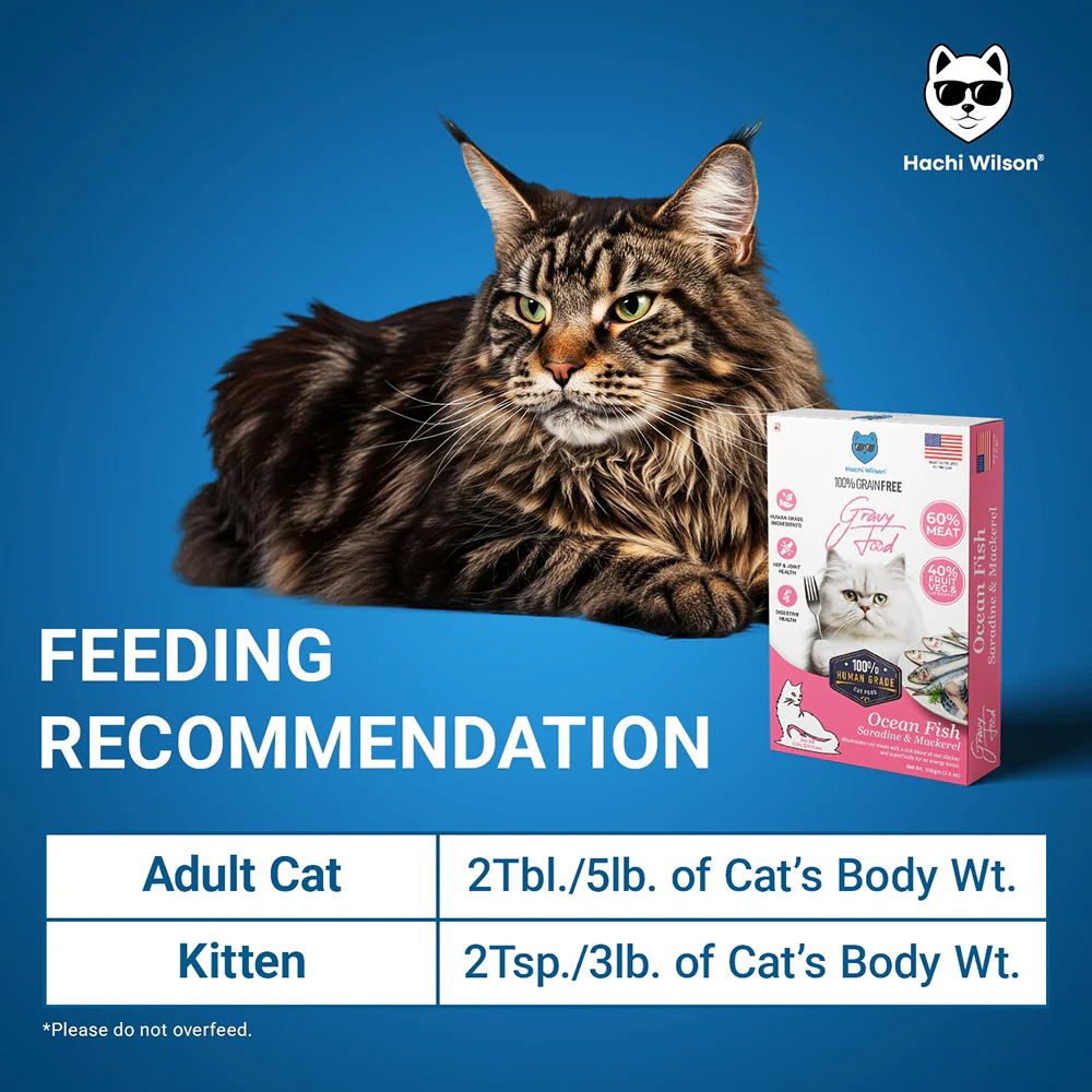 Hachi Wilson Premium Ocean Fish Sardine and Mackerel Gravy Cat Wet Food - Image 4