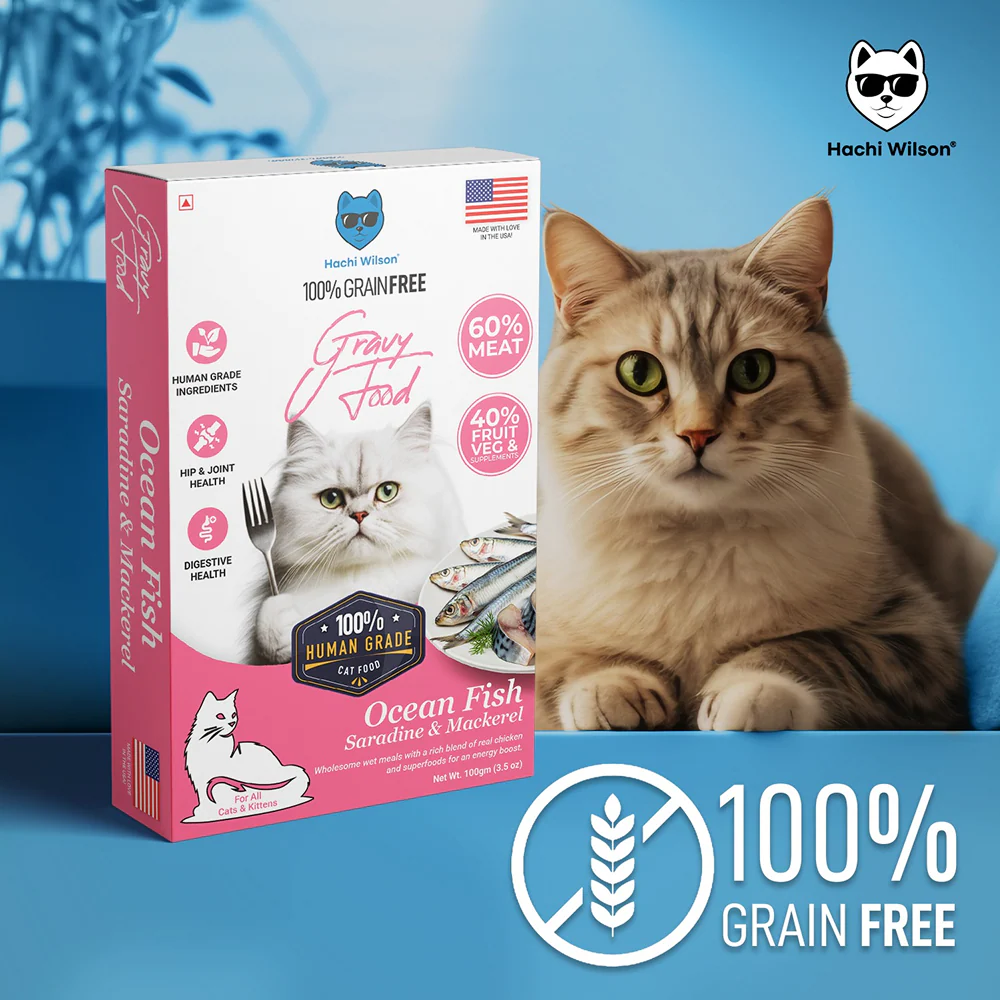 Hachi Wilson Premium Ocean Fish Sardine and Mackerel Gravy Cat Wet Food - Image 5