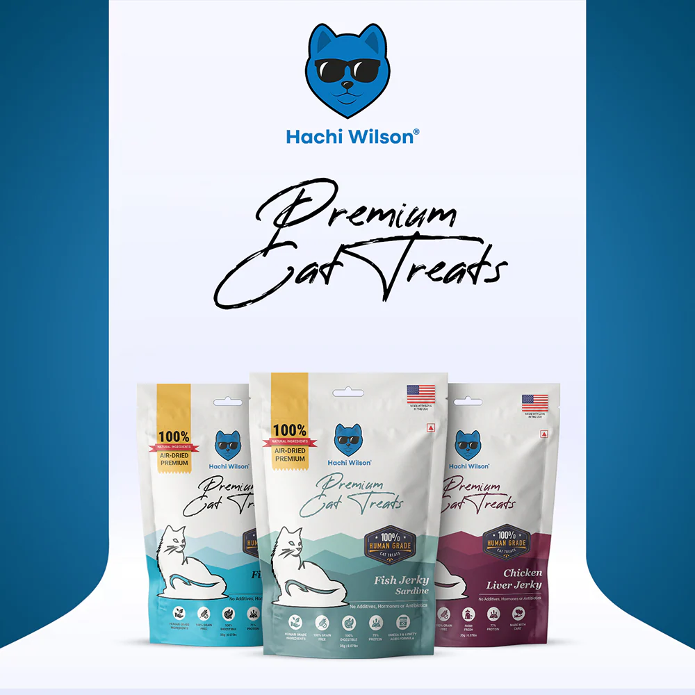 Hachi Wilson Premium Sardine Fish Jerky Cat Treat - Image 5