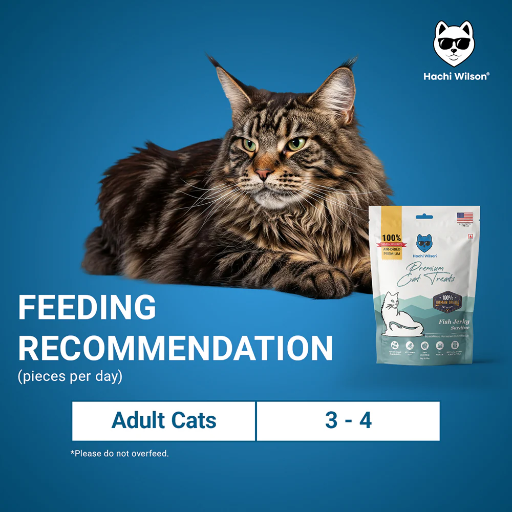 Hachi Wilson Premium Sardine Fish Jerky Cat Treat - Image 6