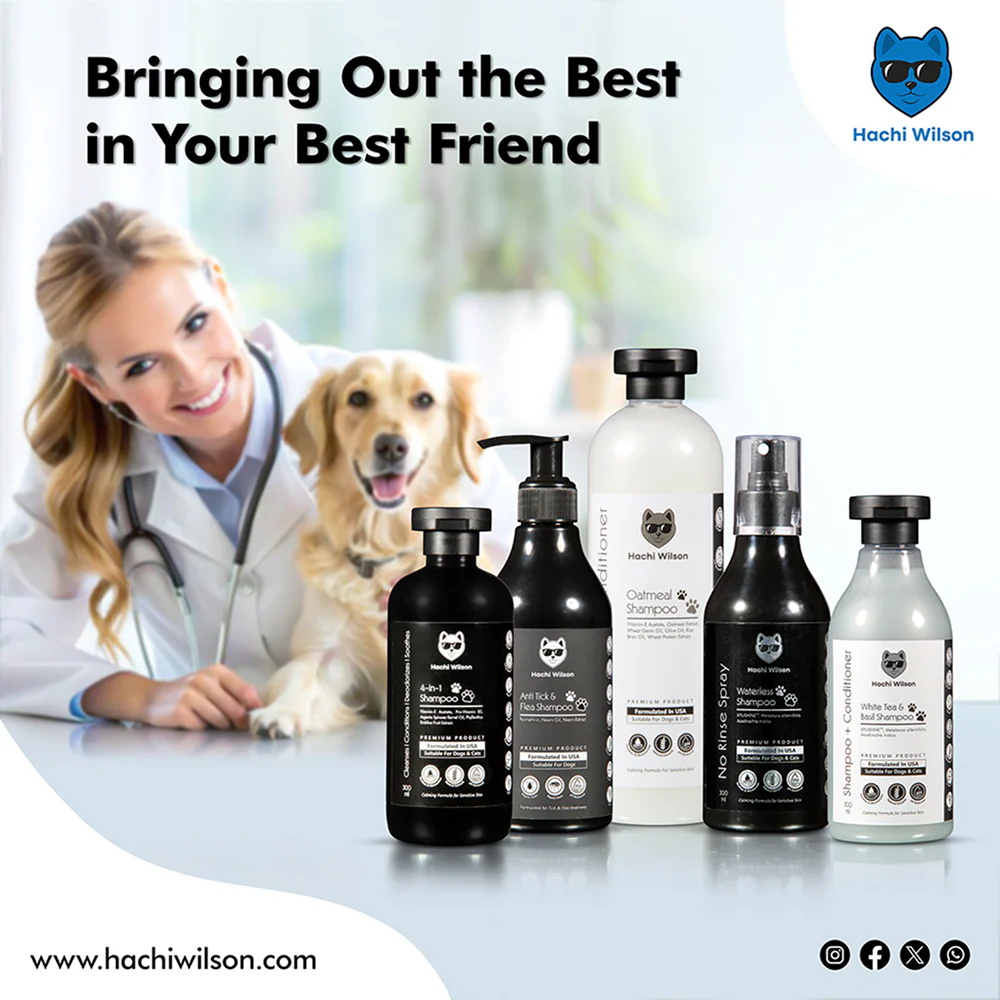 Hachi Wilson Super Premium White Tea and Basil Shampoo for Cats - Image 3