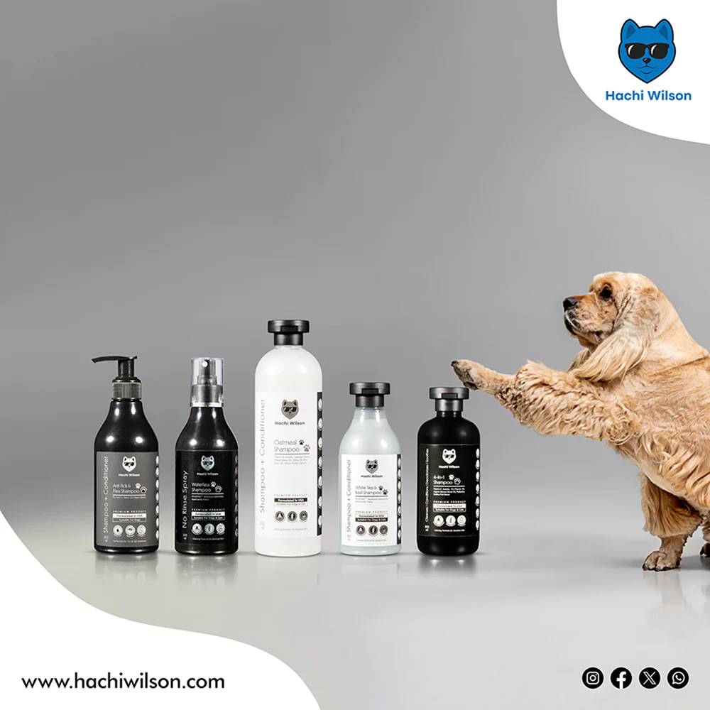 Hachi Wilson Super Premium White Tea and Basil Shampoo for Cats - Image 4