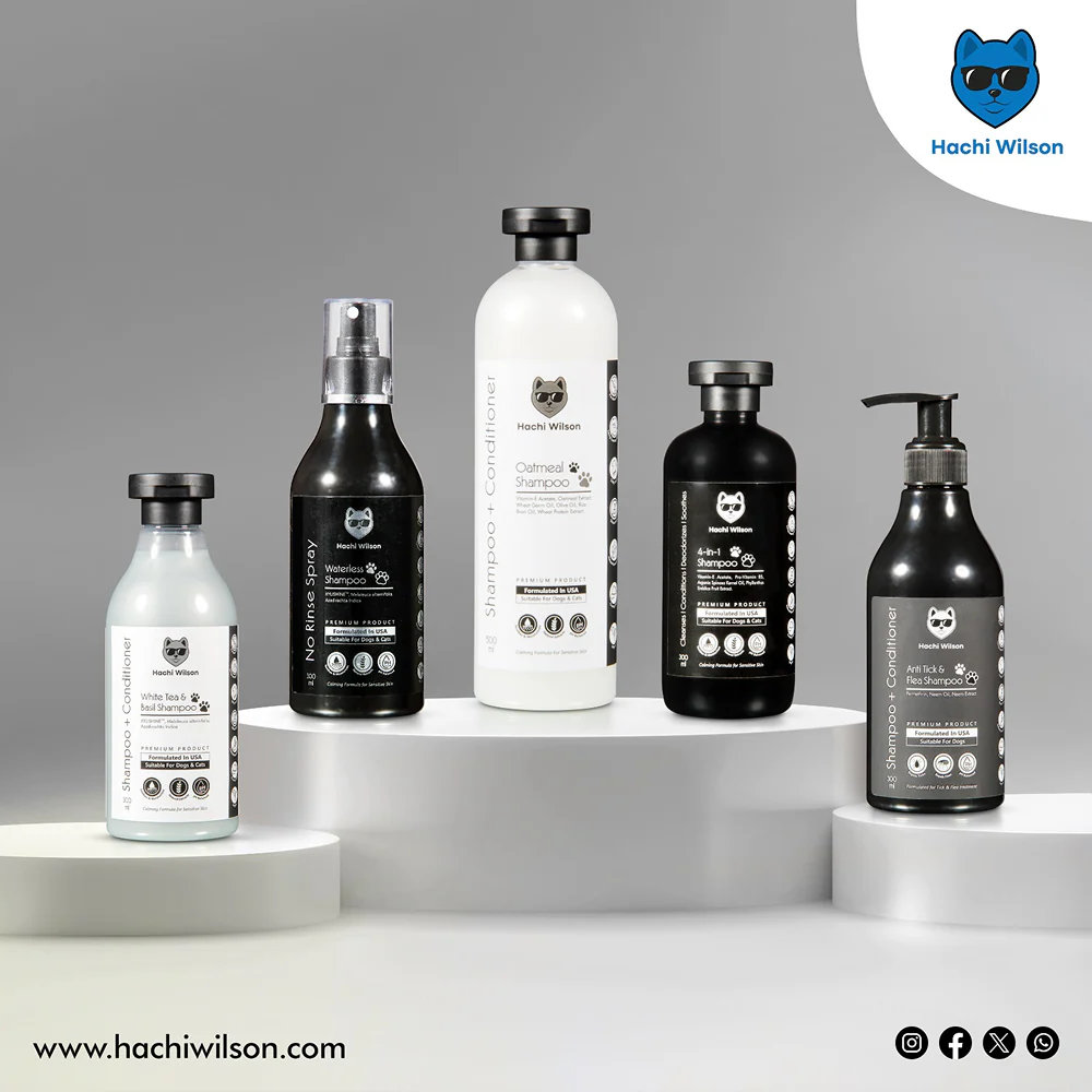 Hachi Wilson Super Premium White Tea and Basil Shampoo for Cats - Image 5