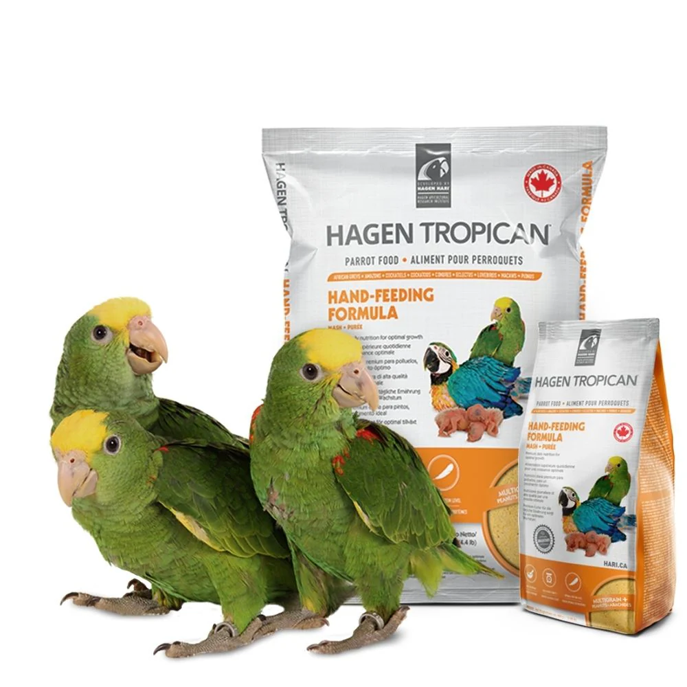Hagen Tropican Hand Feeding Formula Bird Food (Yellow) - Image 2
