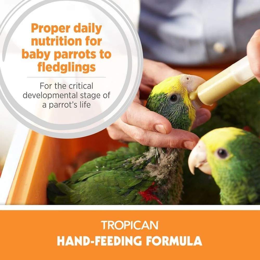 Hagen Tropican Hand Feeding Formula Bird Food (Yellow) - Image 4