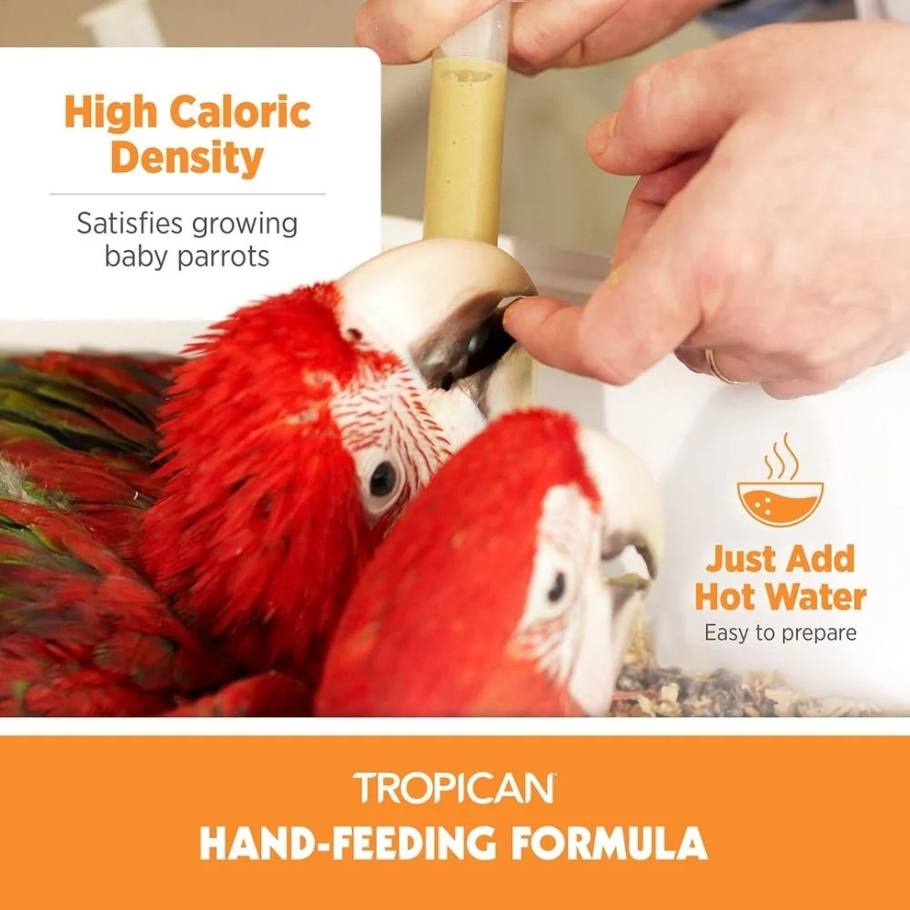 Hagen Tropican Hand Feeding Formula Bird Food (Yellow) - Image 6