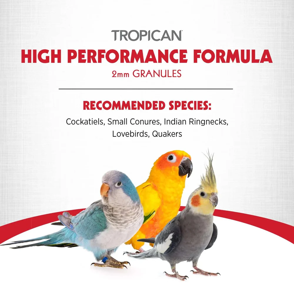 Hagen Tropican High Performance Formula Bird Food - Image 3