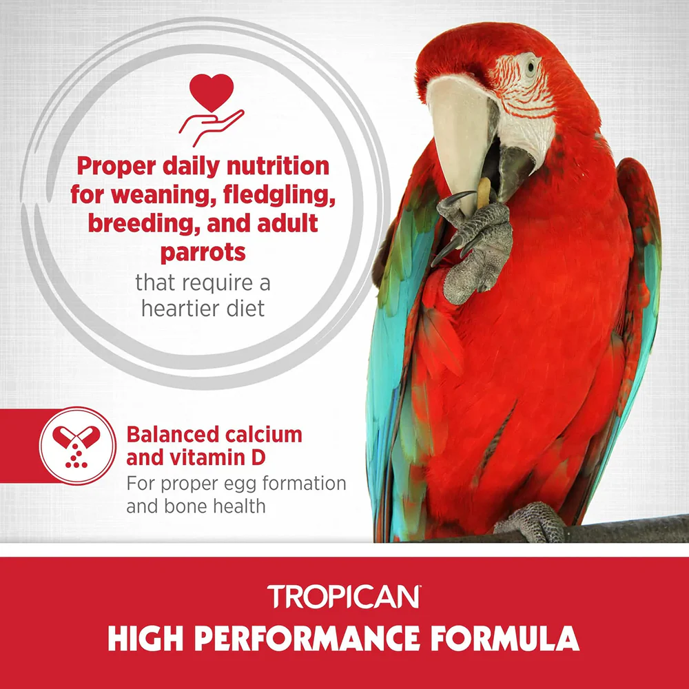 Hagen Tropican High Performance Formula Bird Food - Image 5