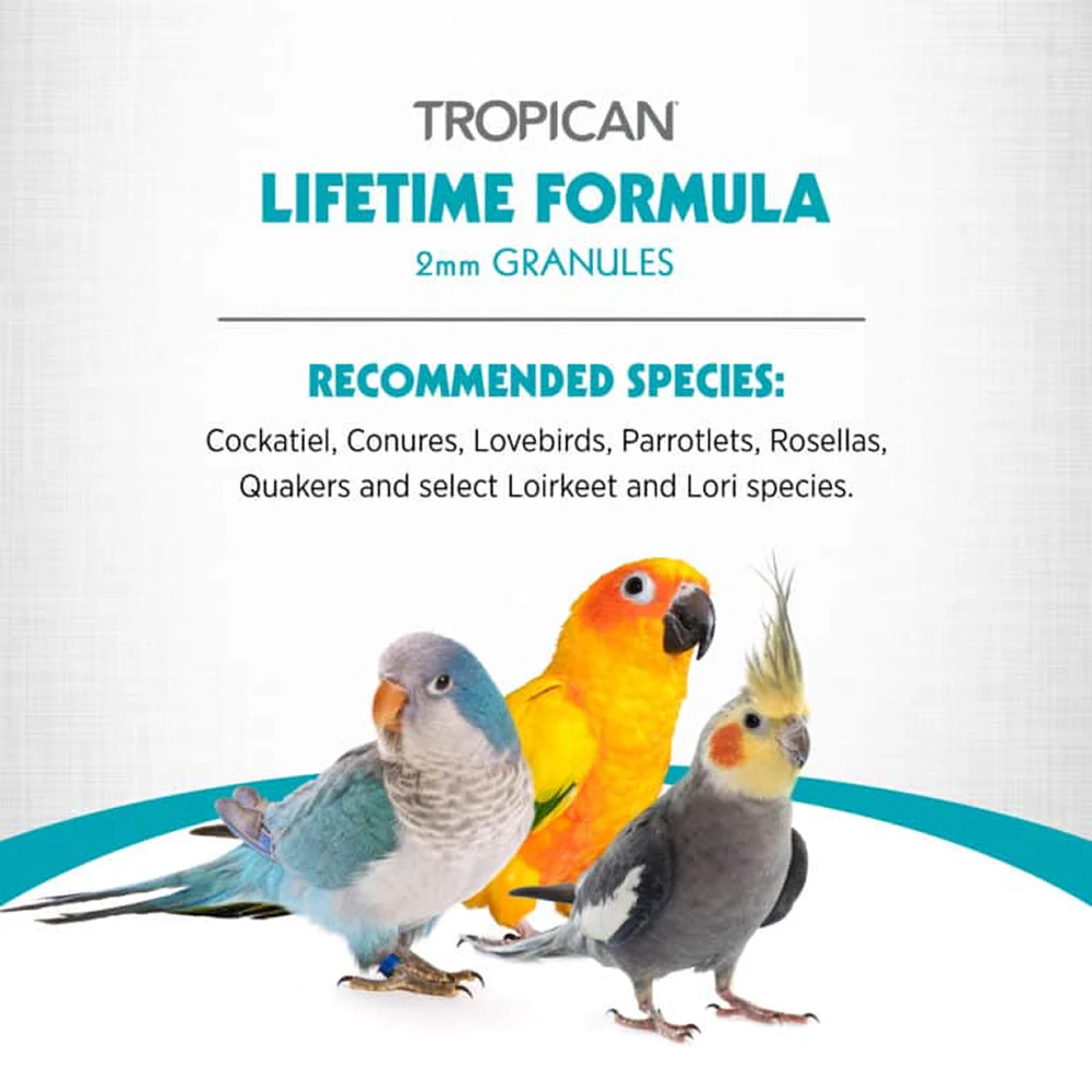 Hagen Tropican Lifetime Formula Bird Food - Image 2