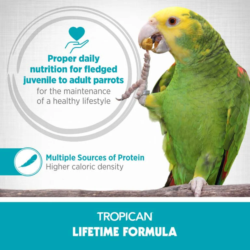 Hagen Tropican Lifetime Formula Bird Food - Image 3