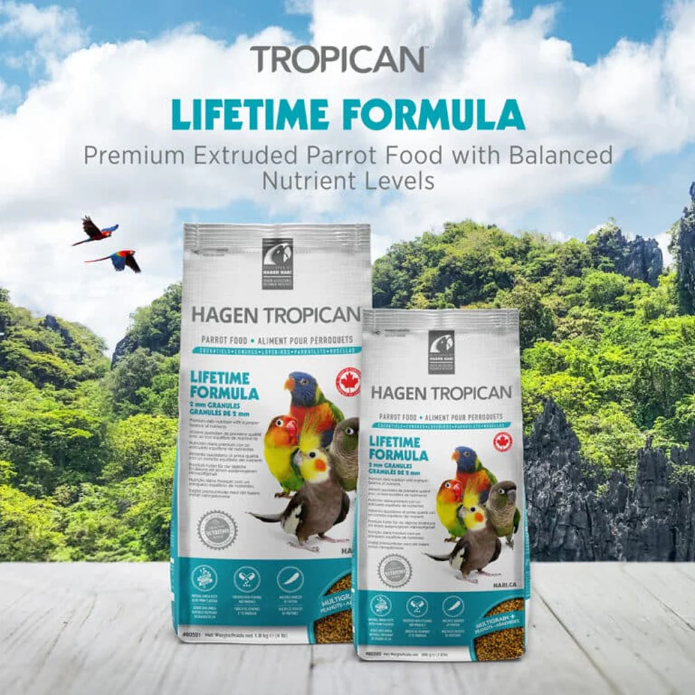 Hagen Tropican Lifetime Formula Bird Food - Image 4