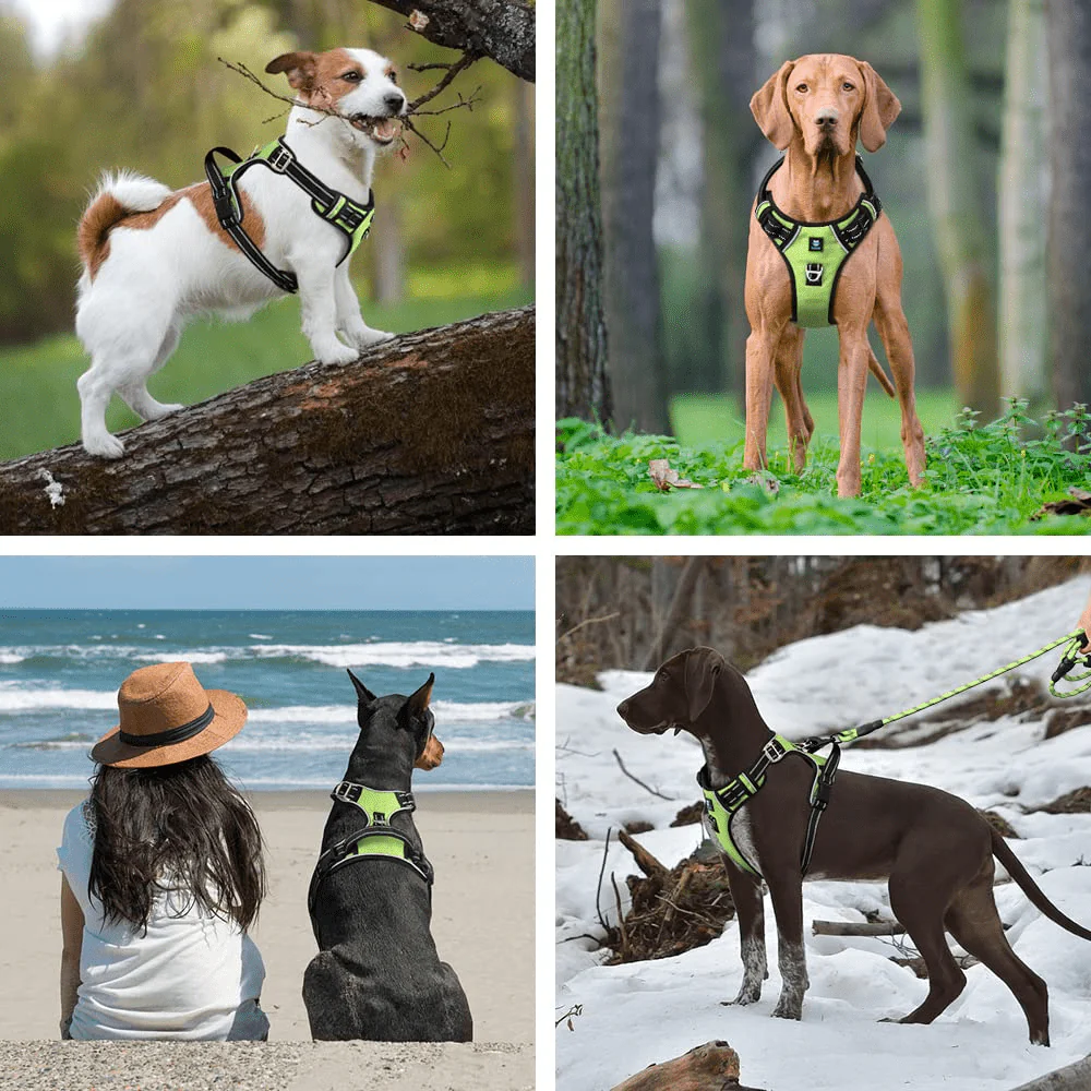 Hank 3M Reflective Harness for Puller Dogs (Neon Green) - Image 3