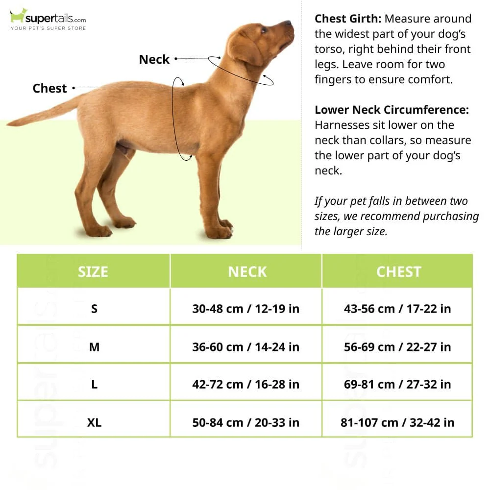 Hank 3M Reflective Harness for Puller Dogs (Neon Orange) - Image 2