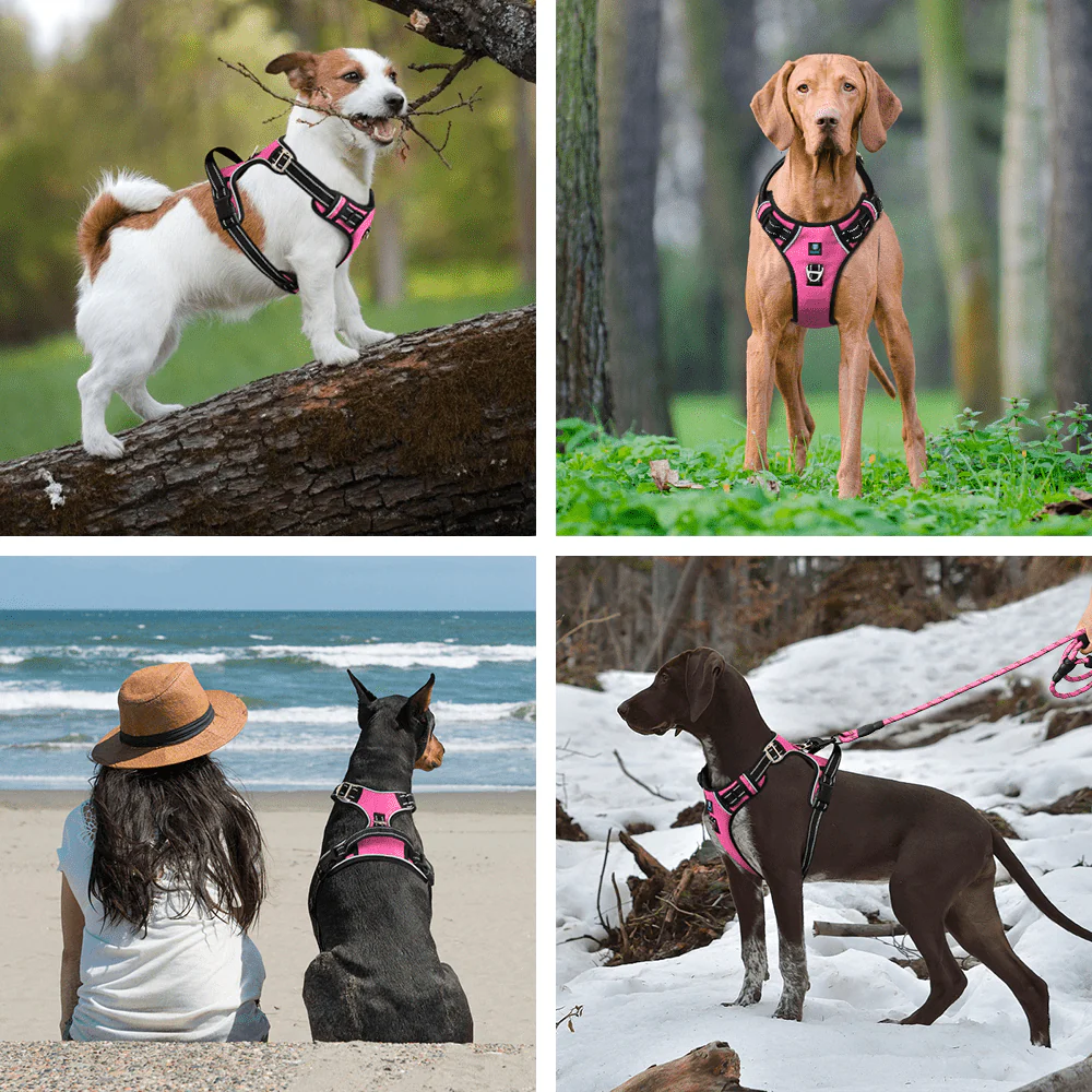 Hank 3M Reflective Harness for Puller Dogs (Pink) - Image 7