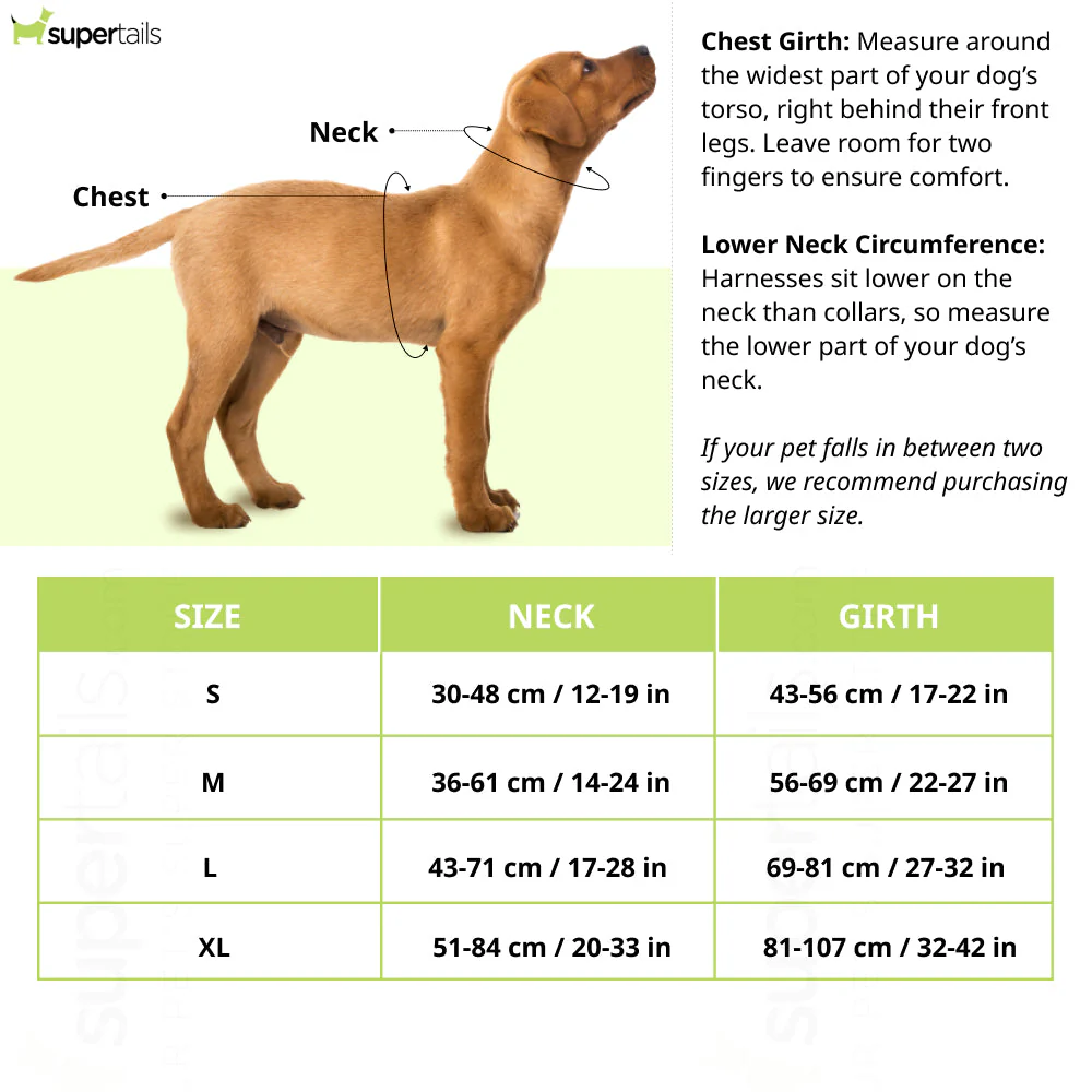 Hank 3M Reflective Harness for Puller Dogs (Grey) - Image 2