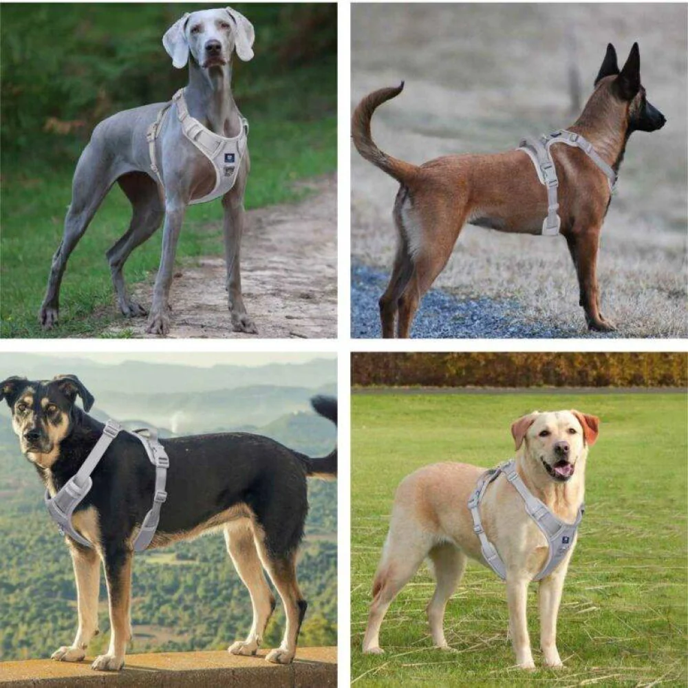 Hank 3M Reflective Harness for Puller Dogs (Grey) - Image 6