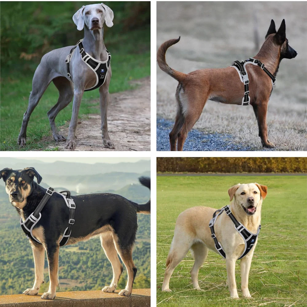 Hank 3M Reflective Harness for Puller Dogs (Grey/Black) - Image 6