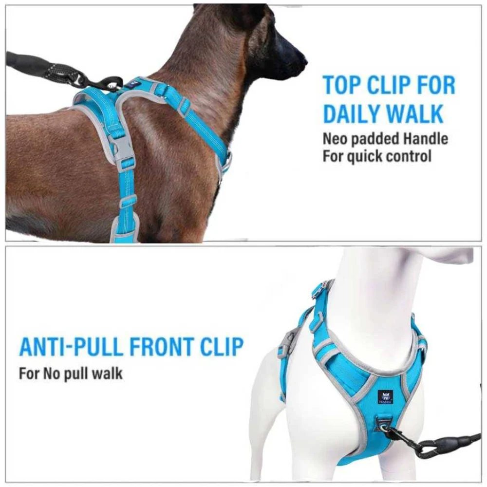 Hank 3M Reflective Harness for Puller Dogs (Grey/Cyan Blue) - Image 4