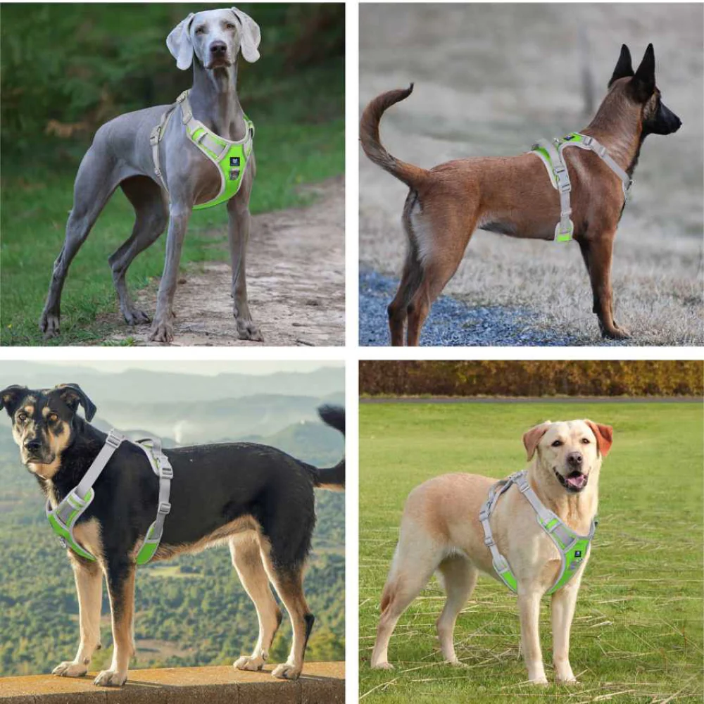 Hank 3M Reflective Harness for Puller Dogs (Grey/Neon Green) - Image 6
