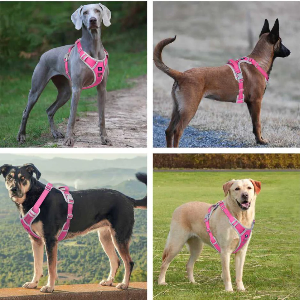 Hank 3M Reflective Harness for Puller Dogs (Grey/Pink) - Image 6