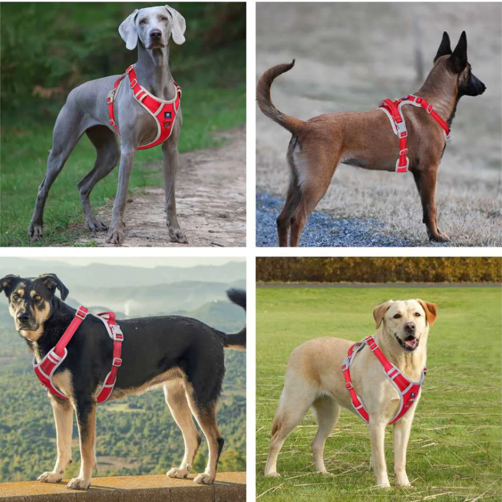 Hank 3M Reflective Harness for Puller Dogs (Grey/Red) - Image 5