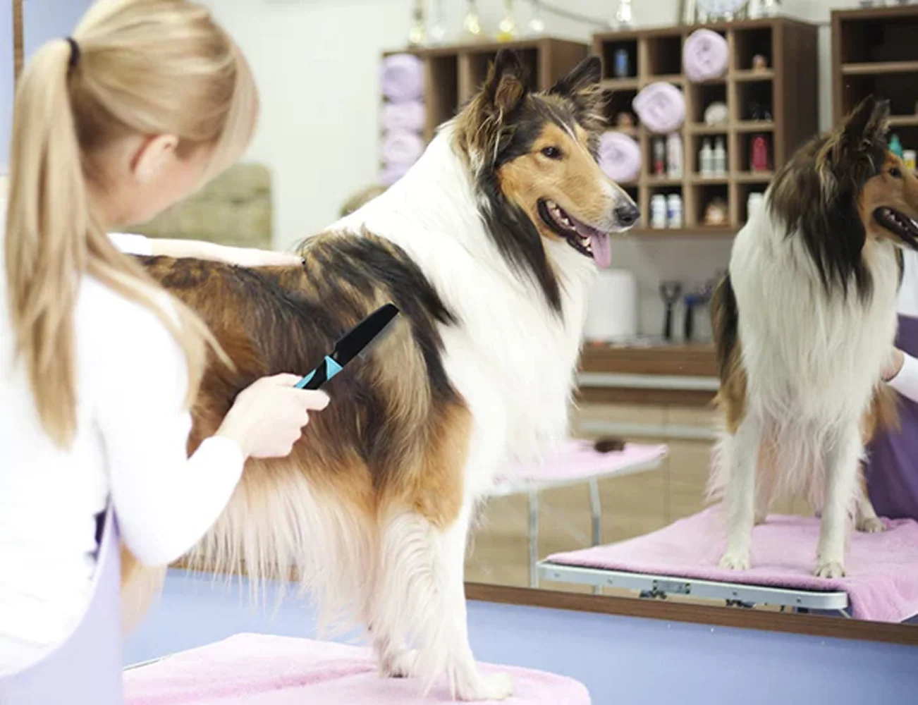 Hank Flea Comb for Pets (Blue) - Image 8
