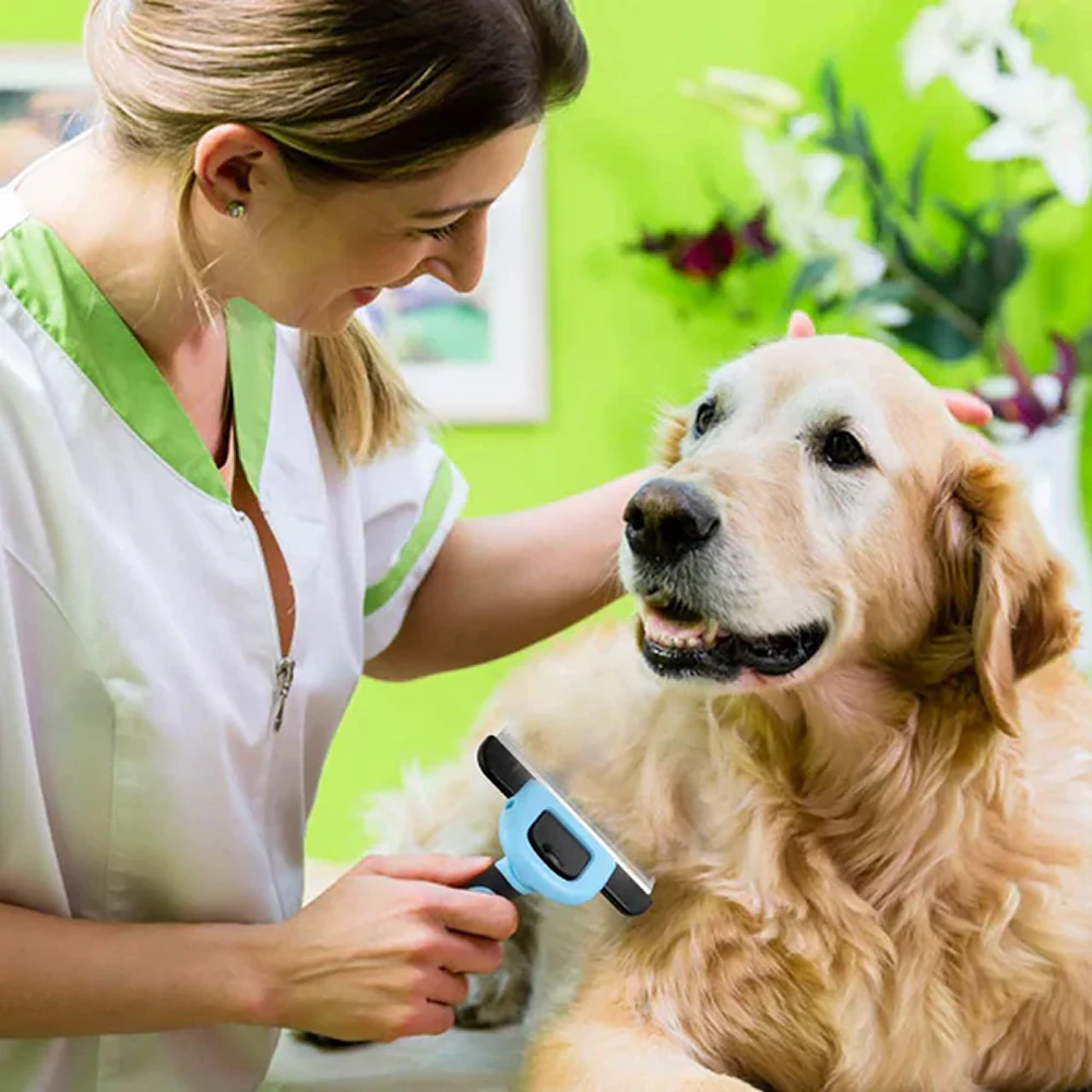 Hank Grooming Brush shedding for Pets (Blue) - Image 5