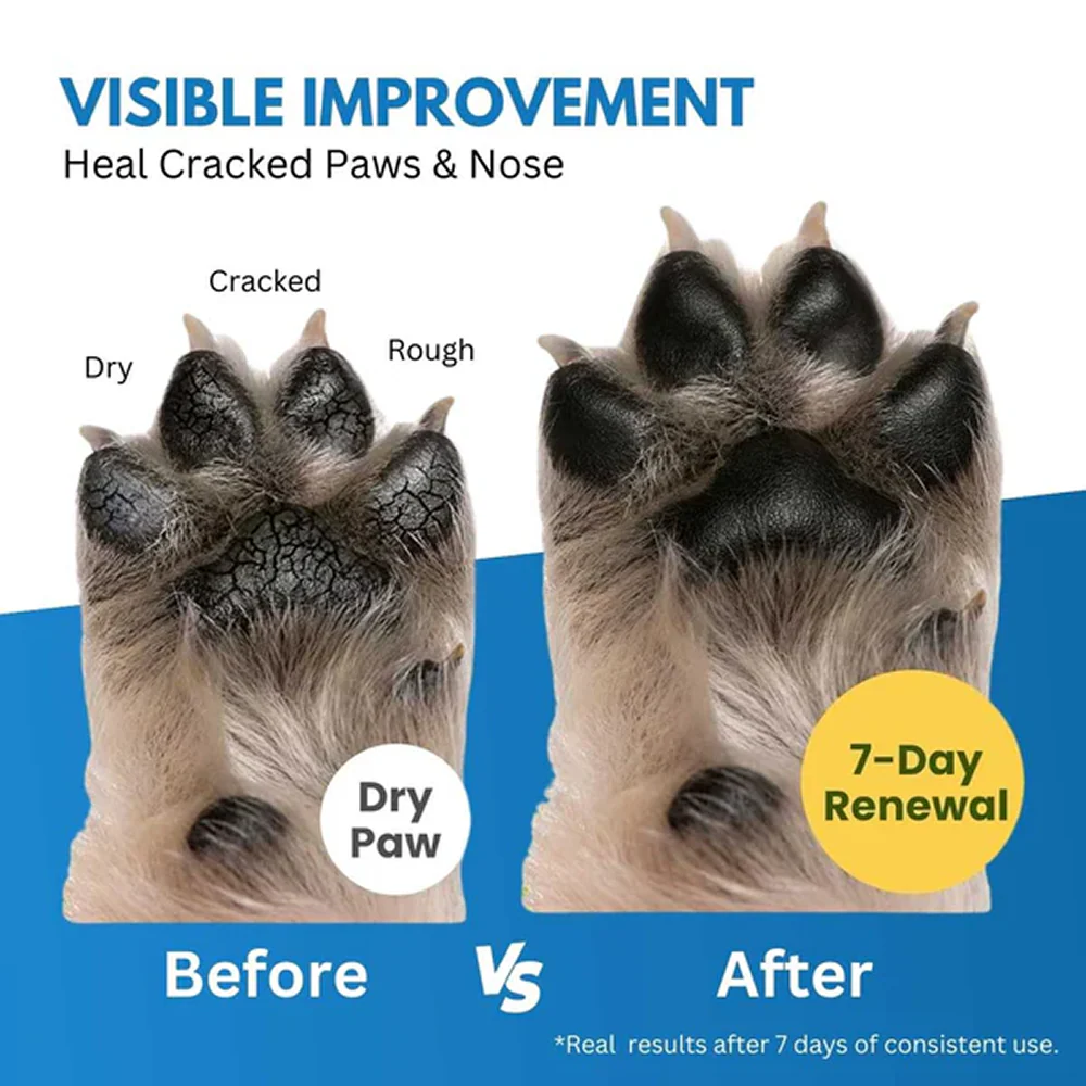 Hank Paw Cream for Dogs and Cats - Image 3