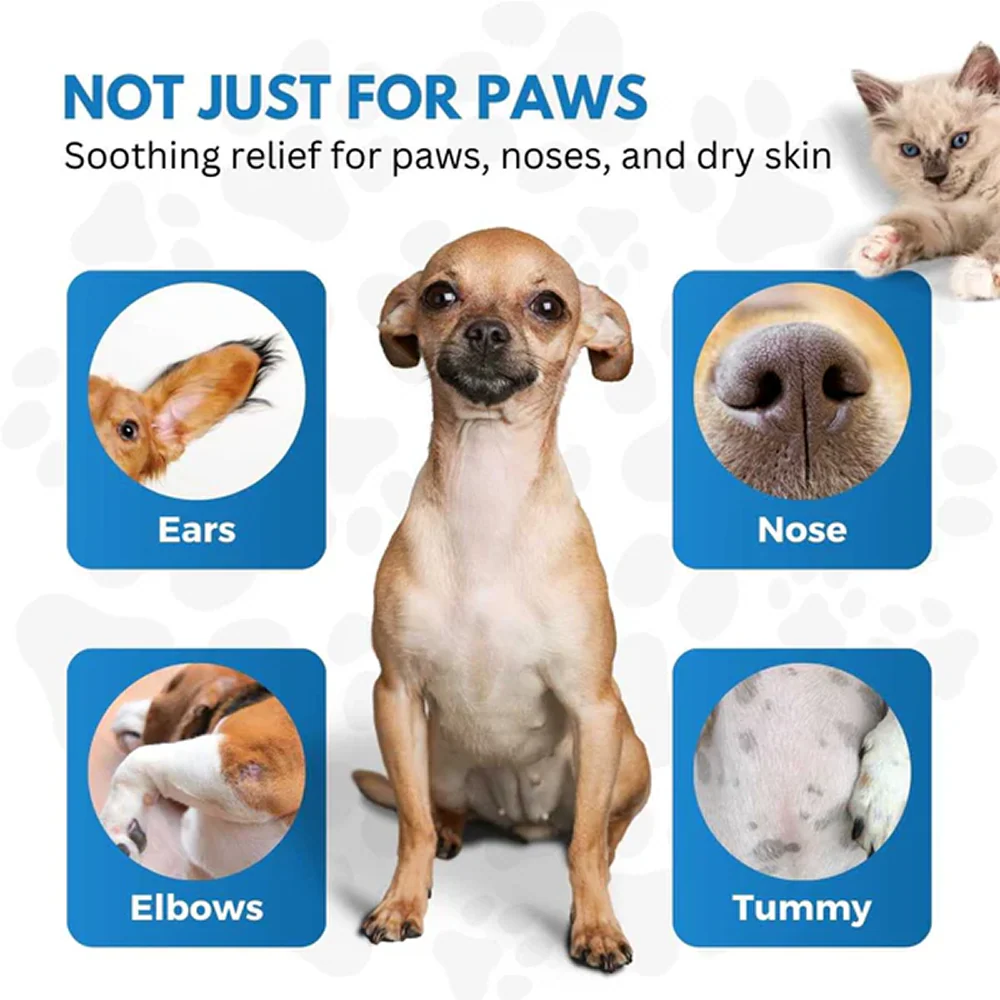 Hank Paw Cream for Dogs and Cats - Image 4