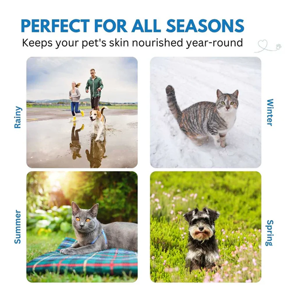 Hank Paw Cream for Dogs and Cats - Image 6