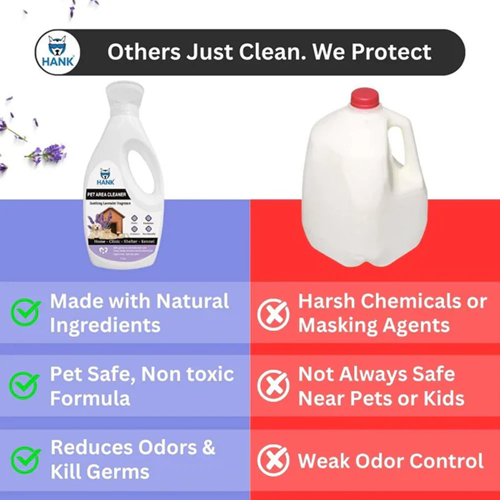 Hank Lavender Pet Friendly Floor Cleaner Kennel Wash Floor Cleaner For Dog - Image 4