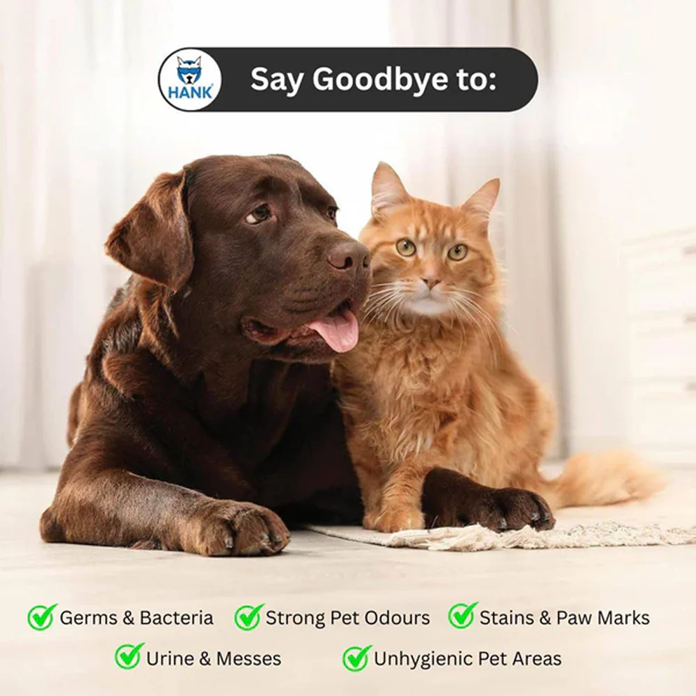 Hank Orange Pet Friendly Floor Cleaner Kennel Wash Floor Cleaner For Dog - Image 5