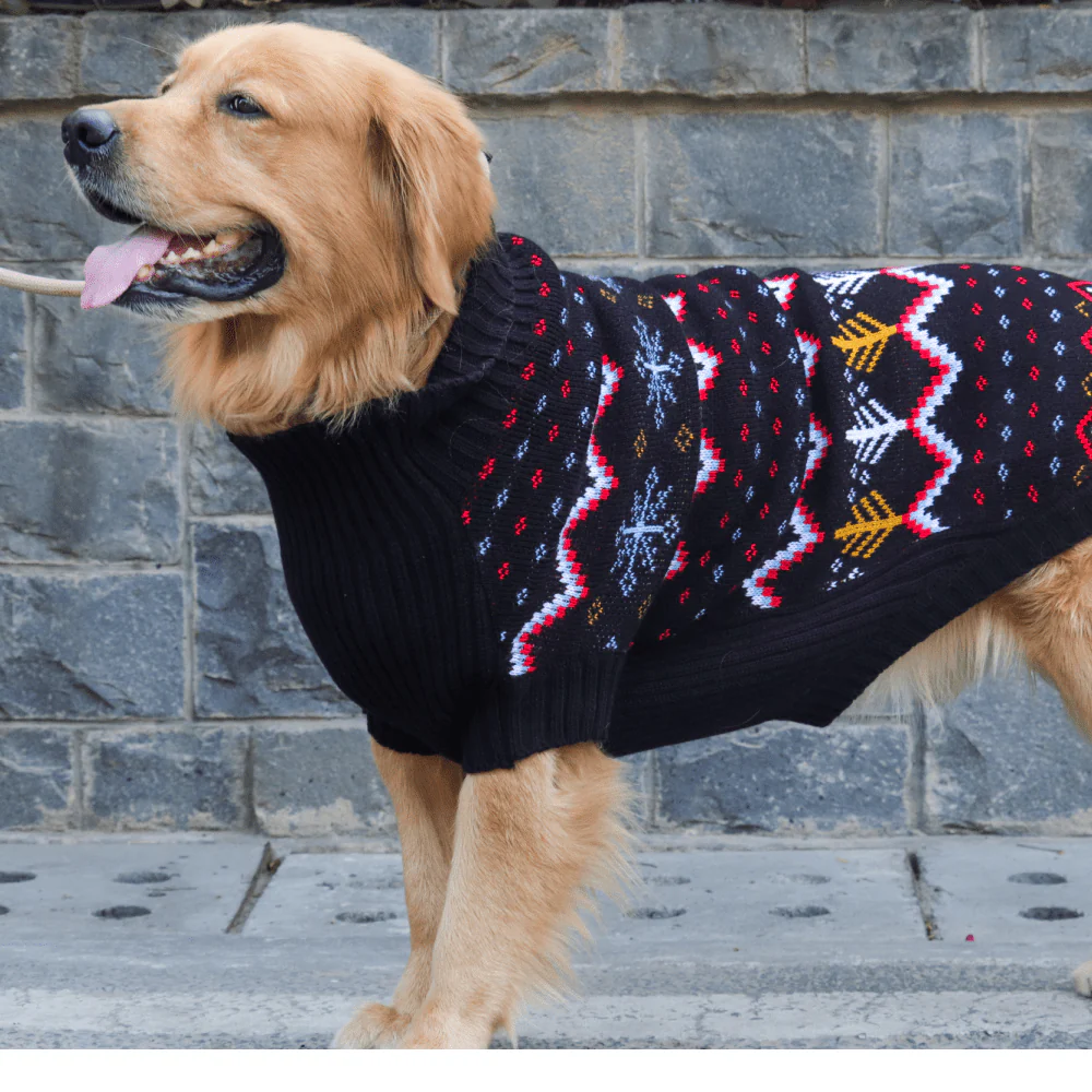 Happy Pawz Color Carnival Jacquard Sweater for Dogs and Cats - Image 6