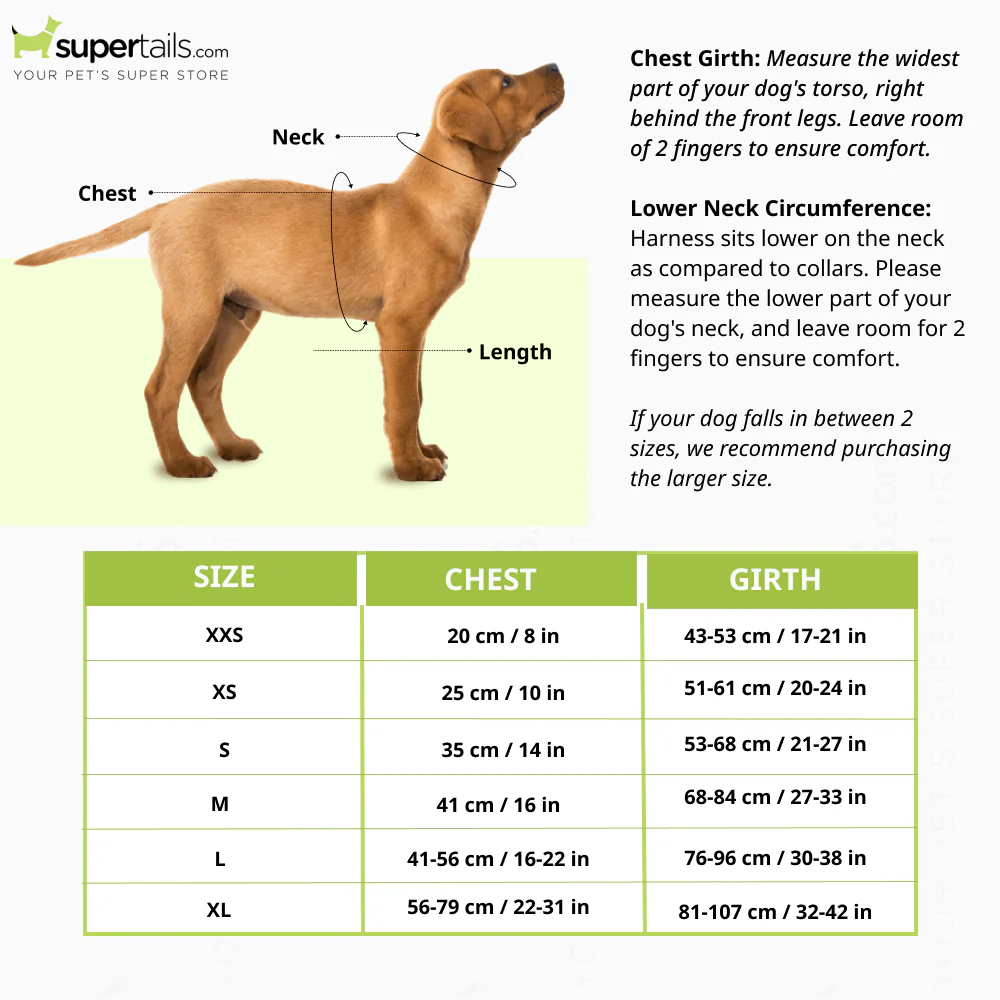 Harry Potter Every Flavour Bean Harness for Dogs - Image 2