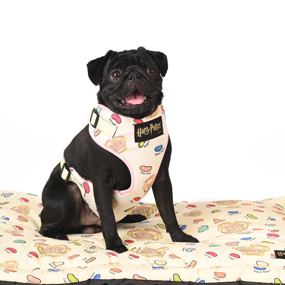 Harry Potter Every Flavour Bean Harness for Dogs - Image 3