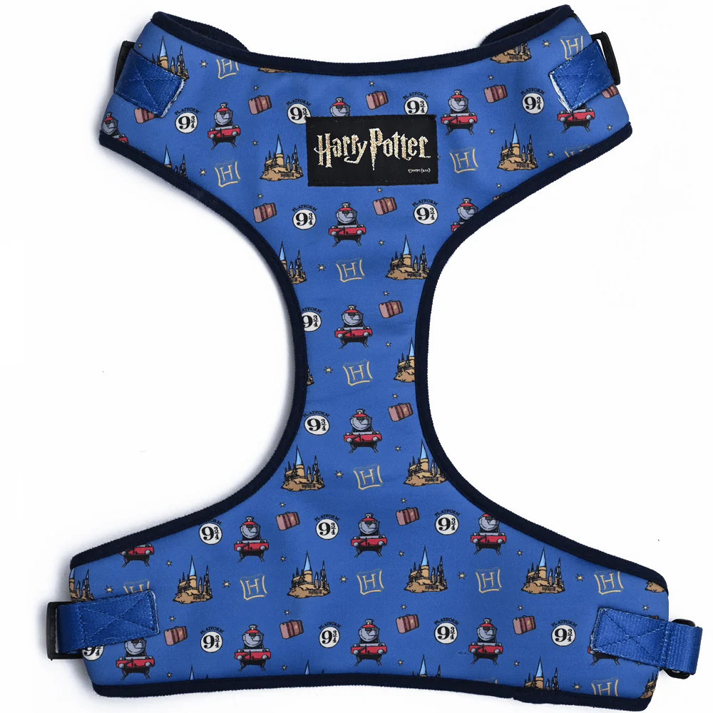 Harry Potter Welcome To Hogwarts Harness for Dogs - Image 3