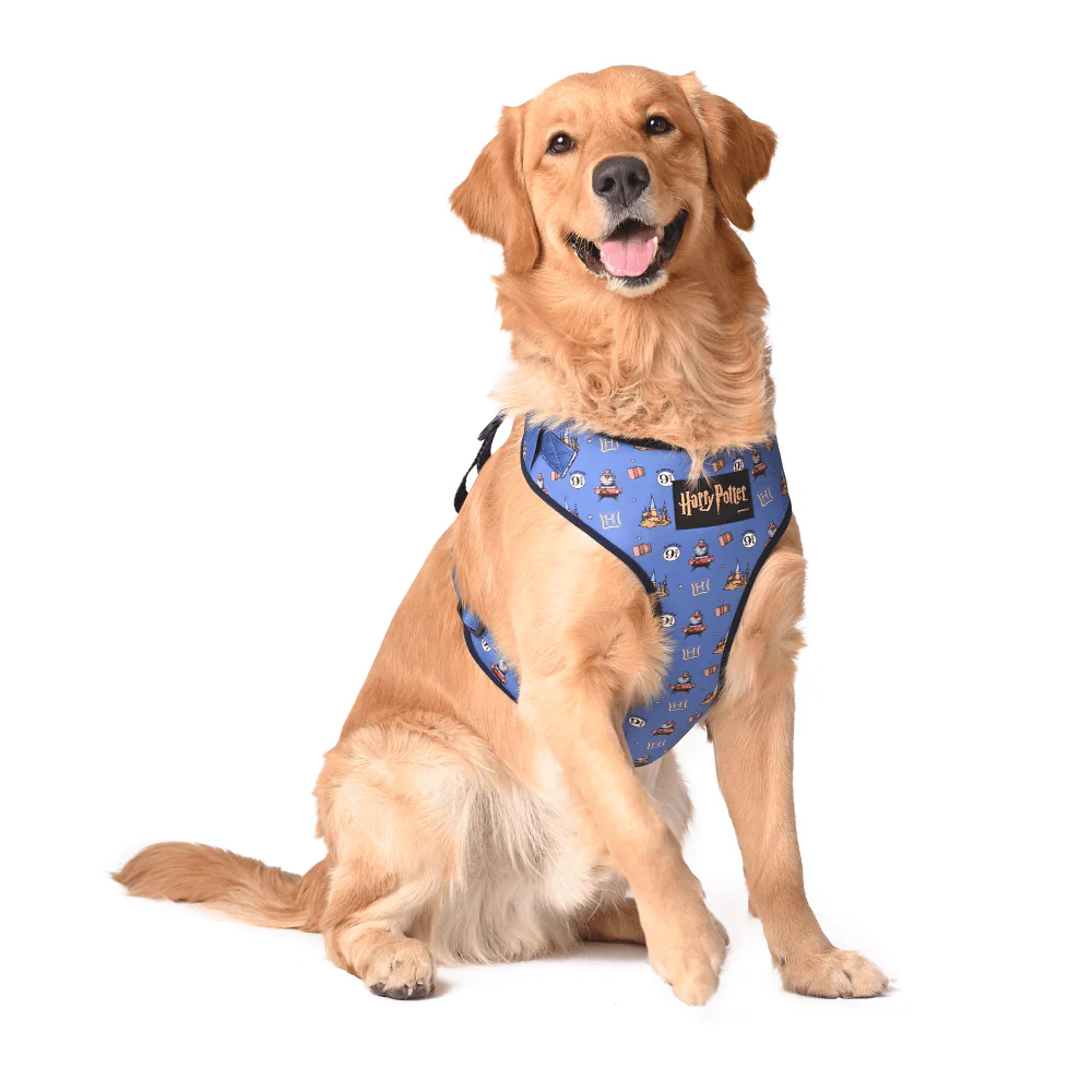 Harry Potter Welcome To Hogwarts Harness for Dogs - Image 4