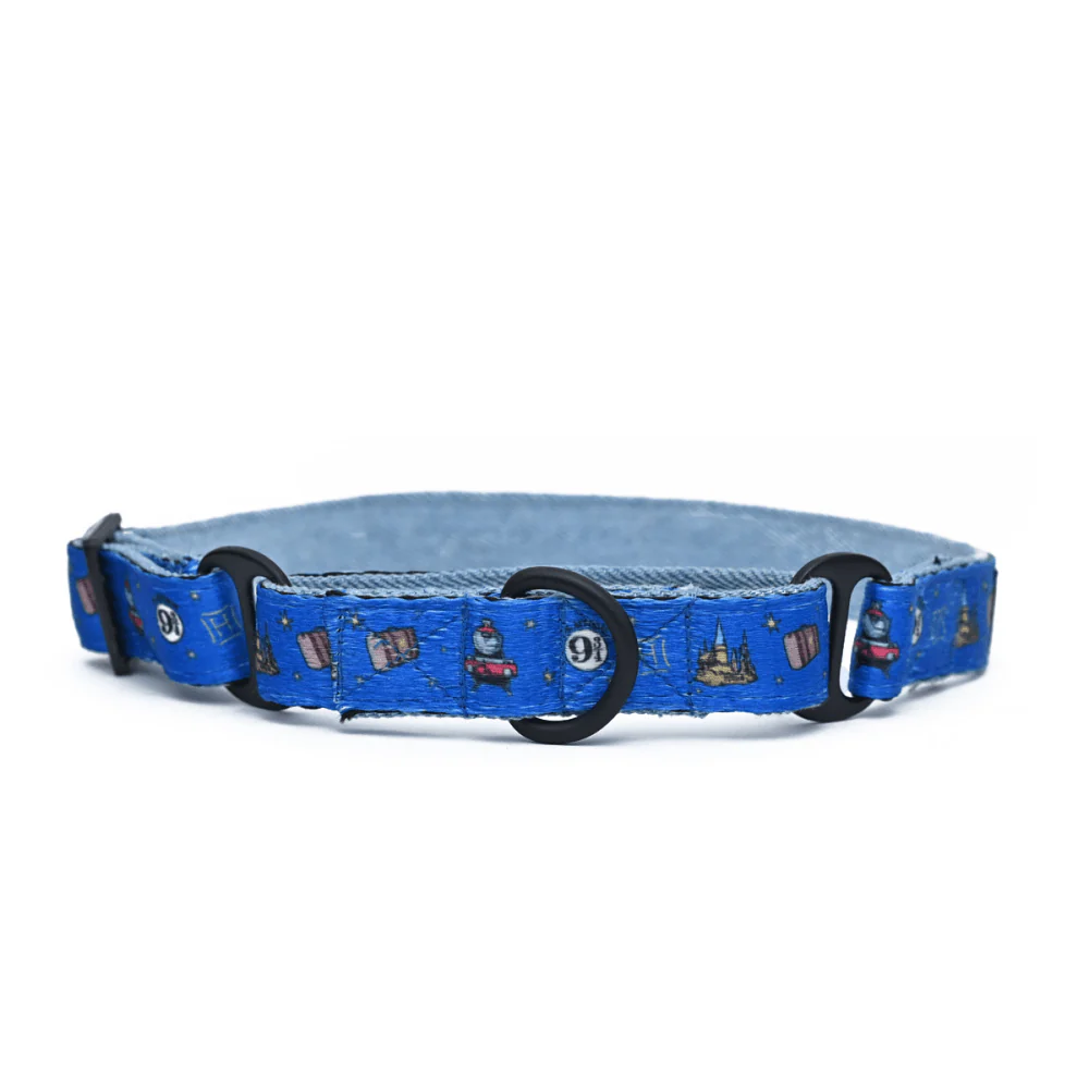 Harry Potter Welcome To Hogwarts Martingale Collar for Dogs - Image 3