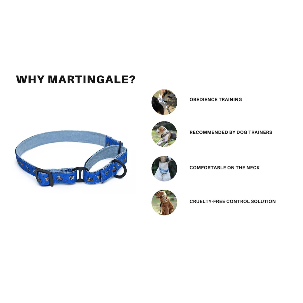 Harry Potter Welcome To Hogwarts Martingale Collar for Dogs - Image 5