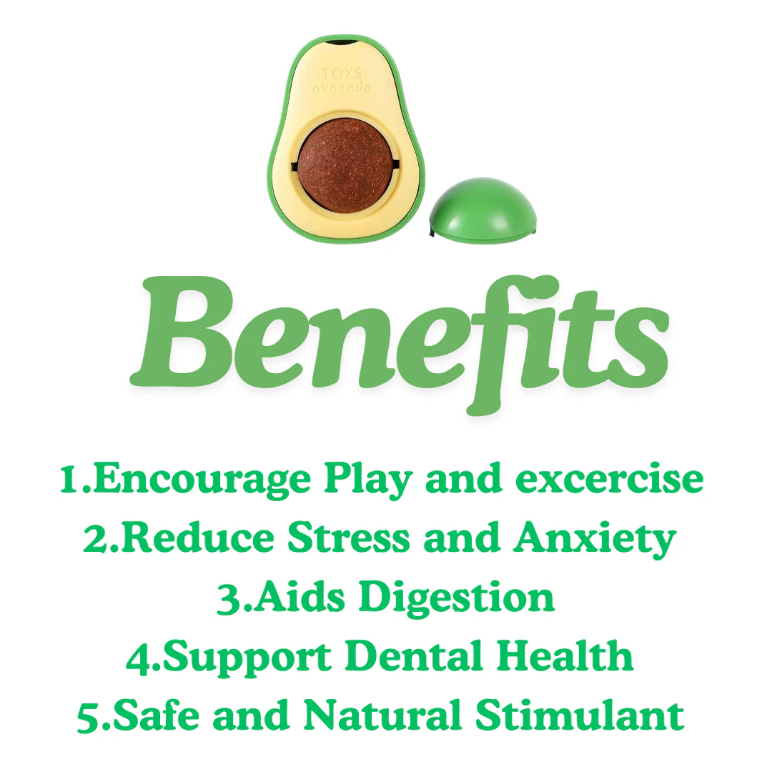 Healing Leaf Avacado Catnip Toys for Cats - Image 2