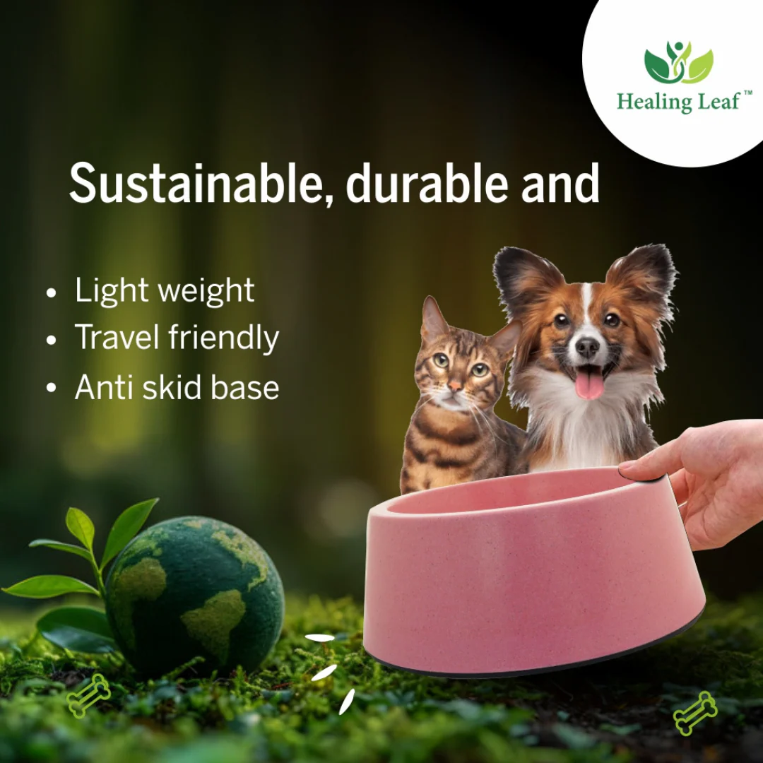 Healing Leaf Eco Friendly Cartoon Bamboo Bowl for Dogs and Cats (Green) - Image 4
