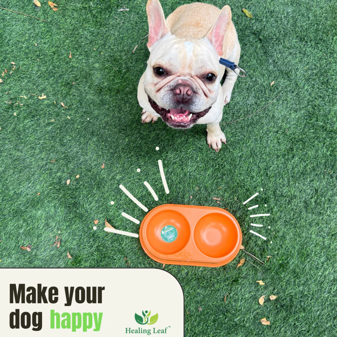 Healing Leaf Eco Friendly Dual Bamboo Bowl for Dogs and Cats (Green) - Image 2