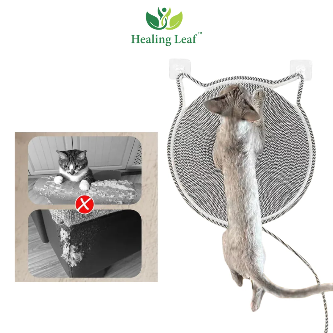 Healing Leaf Eco friendly Scratching Mat for Cats - Image 4