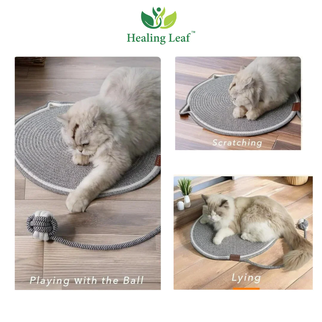 Healing Leaf Eco friendly Scratching Mat for Cats - Image 6