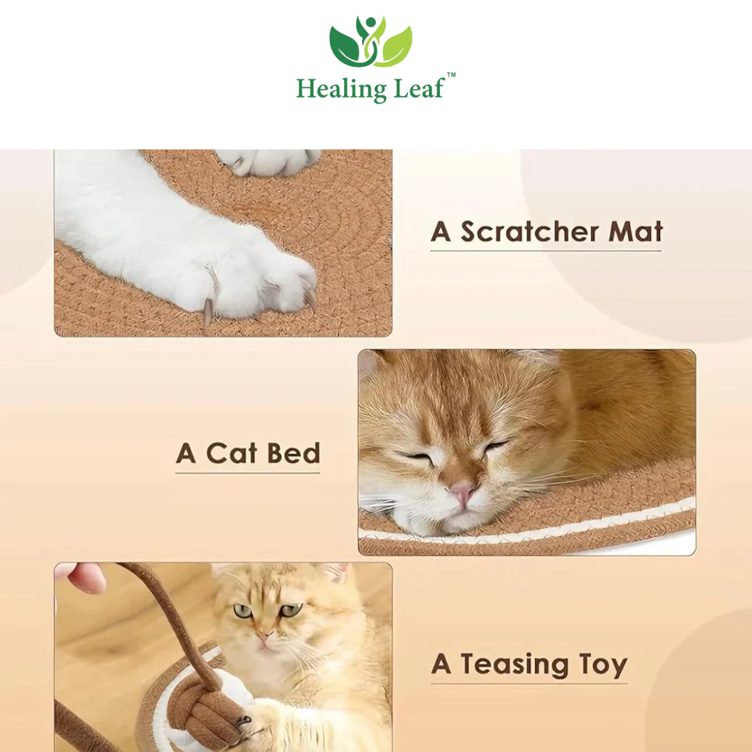 Healing Leaf Eco friendly Scratching Mat for Cats - Image 7