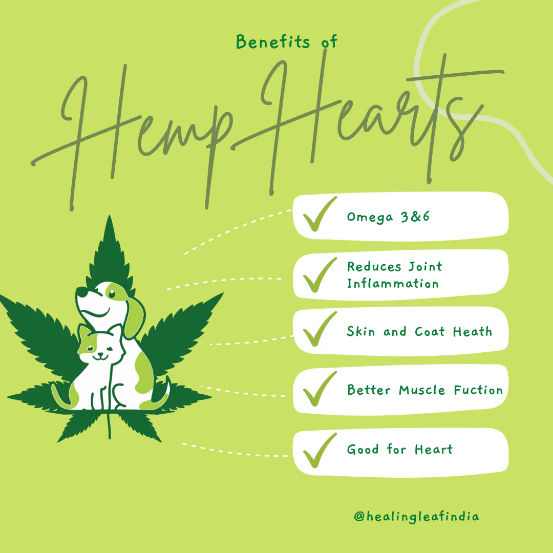 Healing Leaf Hemp Hearts for Pets and Fresh For Paws Go Go Cottage Cheese Dog Wet Food Combo - Image 5